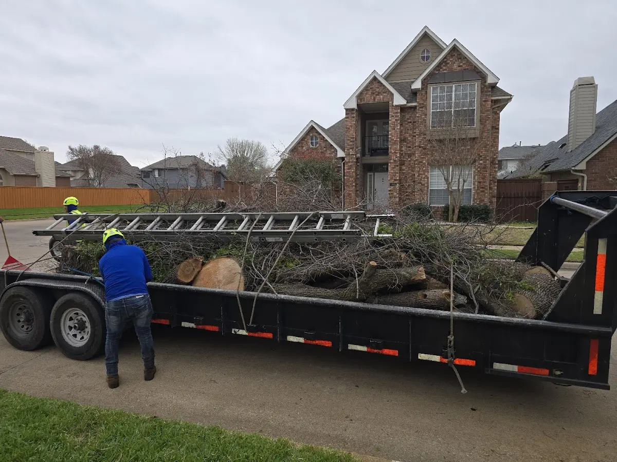 Expert Tree Fertilization with proper safety equipment in Smithfield
